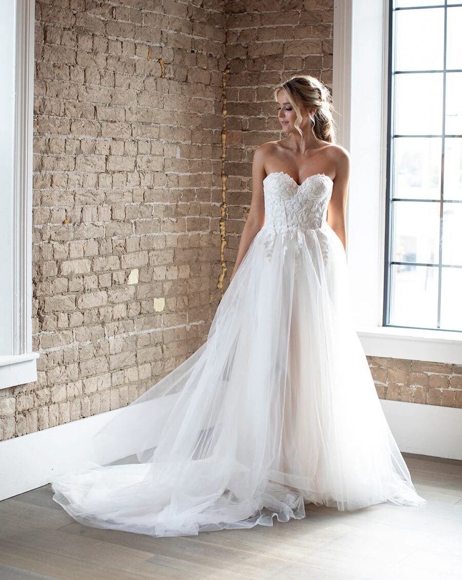 Barbie Anne gown 1