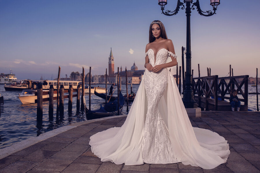 House of Mistrelli gown 6